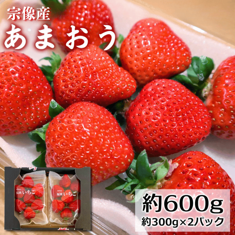 水上ファームの宗像産あまおう 味わい重視・たっぷり約300g（6～15粒